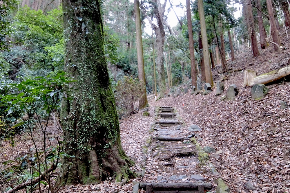 秩父〜高崎　参詣の道の写真8