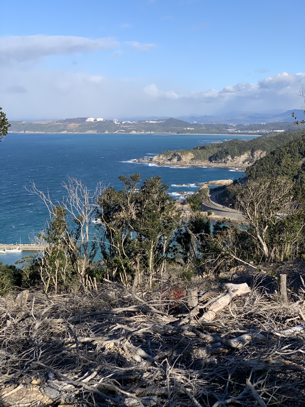 奥白浜　椿温泉からのトレイルラン　2.5kmの写真4
