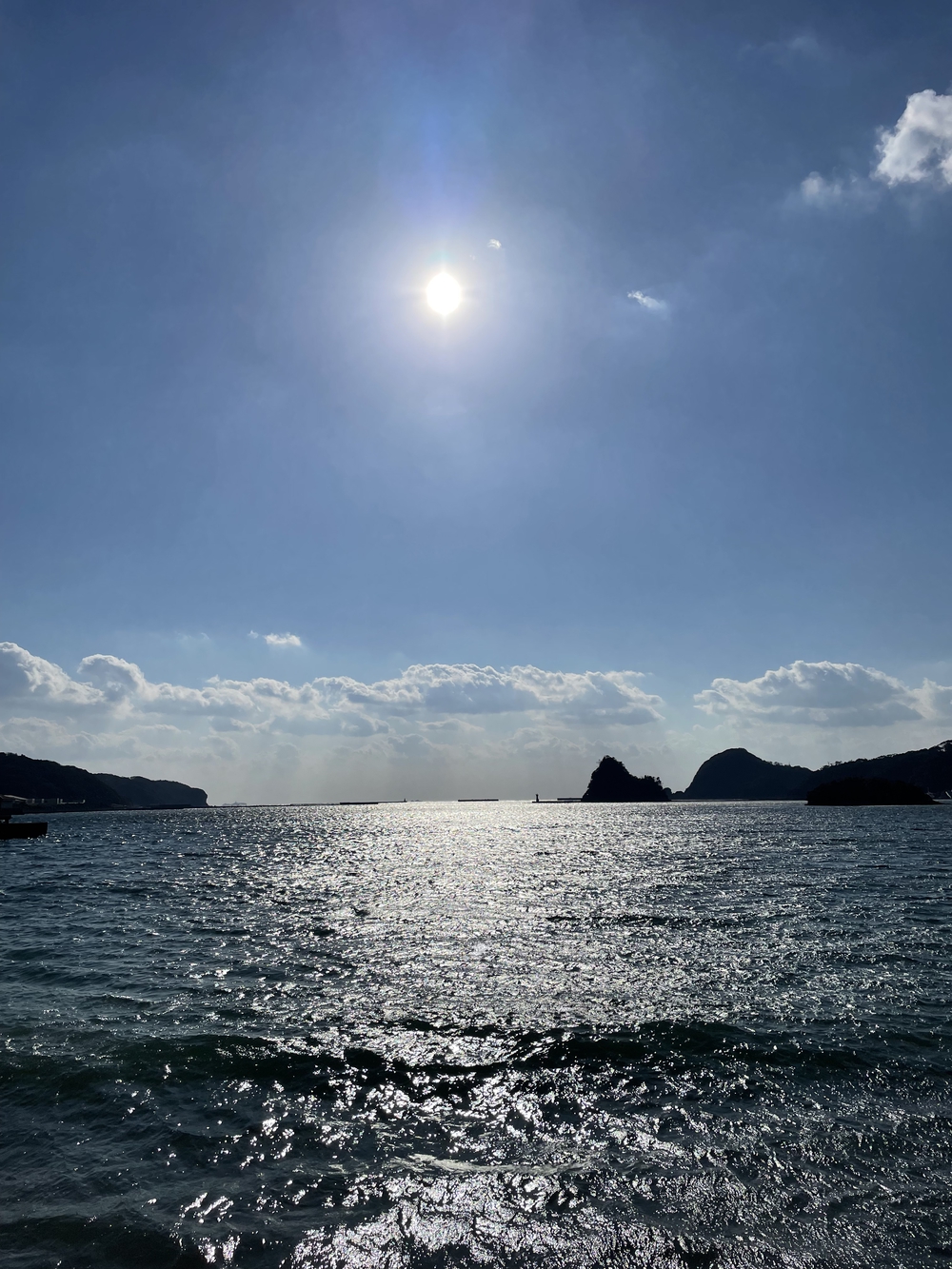 黒船の街下田から爪木崎の絶景海岸と金谷温泉の千人風呂を味わうマラニックコースの写真4