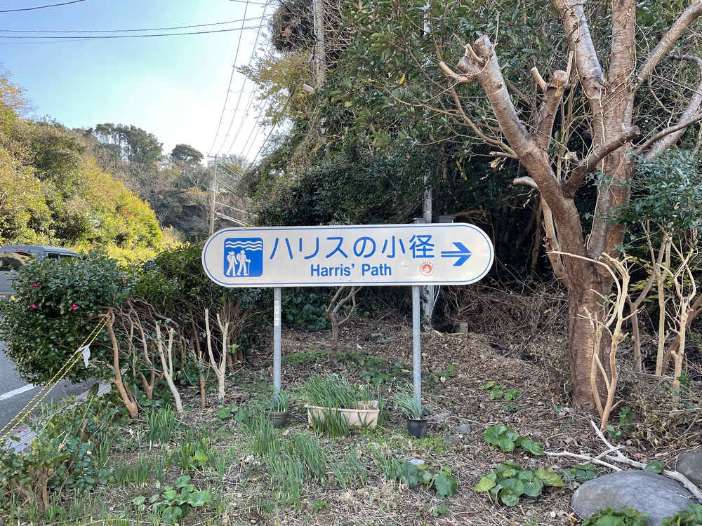 黒船の街下田から爪木崎の絶景海岸と金谷温泉の千人風呂を味わうマラニックコースの写真5