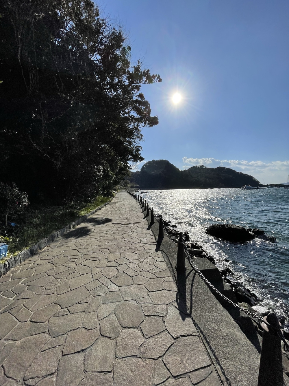 黒船の街下田から爪木崎の絶景海岸と金谷温泉の千人風呂を味わうマラニックコースの写真6