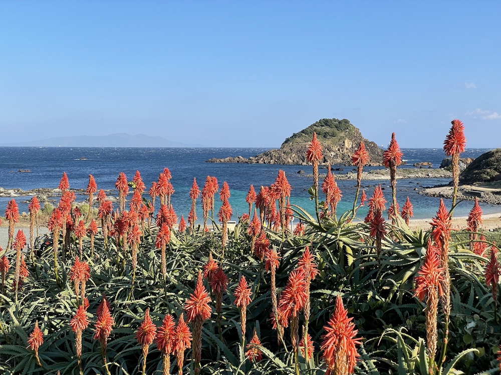 黒船の街下田から爪木崎の絶景海岸と金谷温泉の千人風呂を味わうマラニックコースの写真11