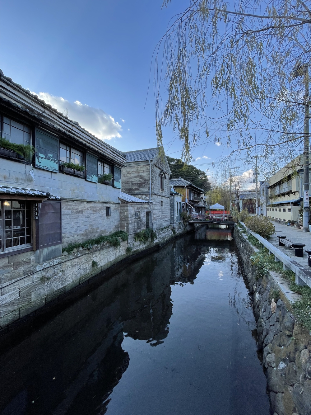 黒船の街下田から爪木崎の絶景海岸と金谷温泉の千人風呂を味わうマラニックコースの写真22