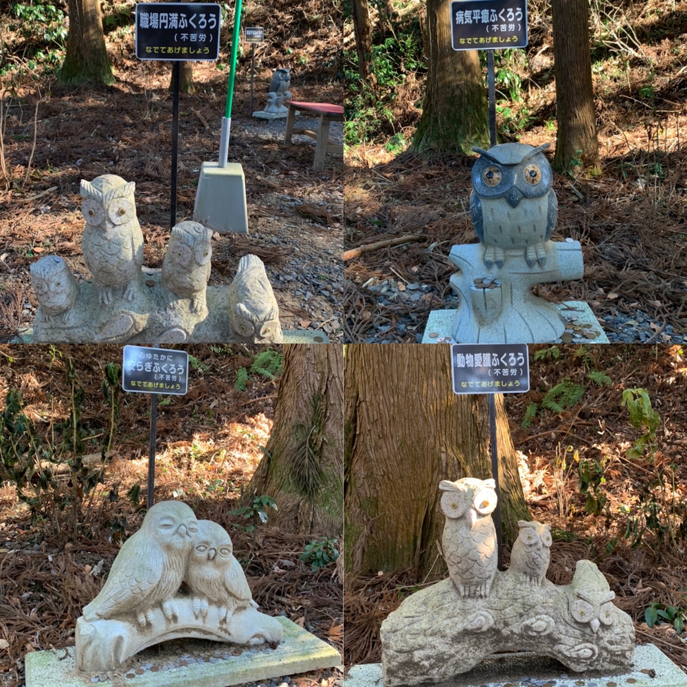 那珂川役場〜鷲子山神社まで往復の写真4