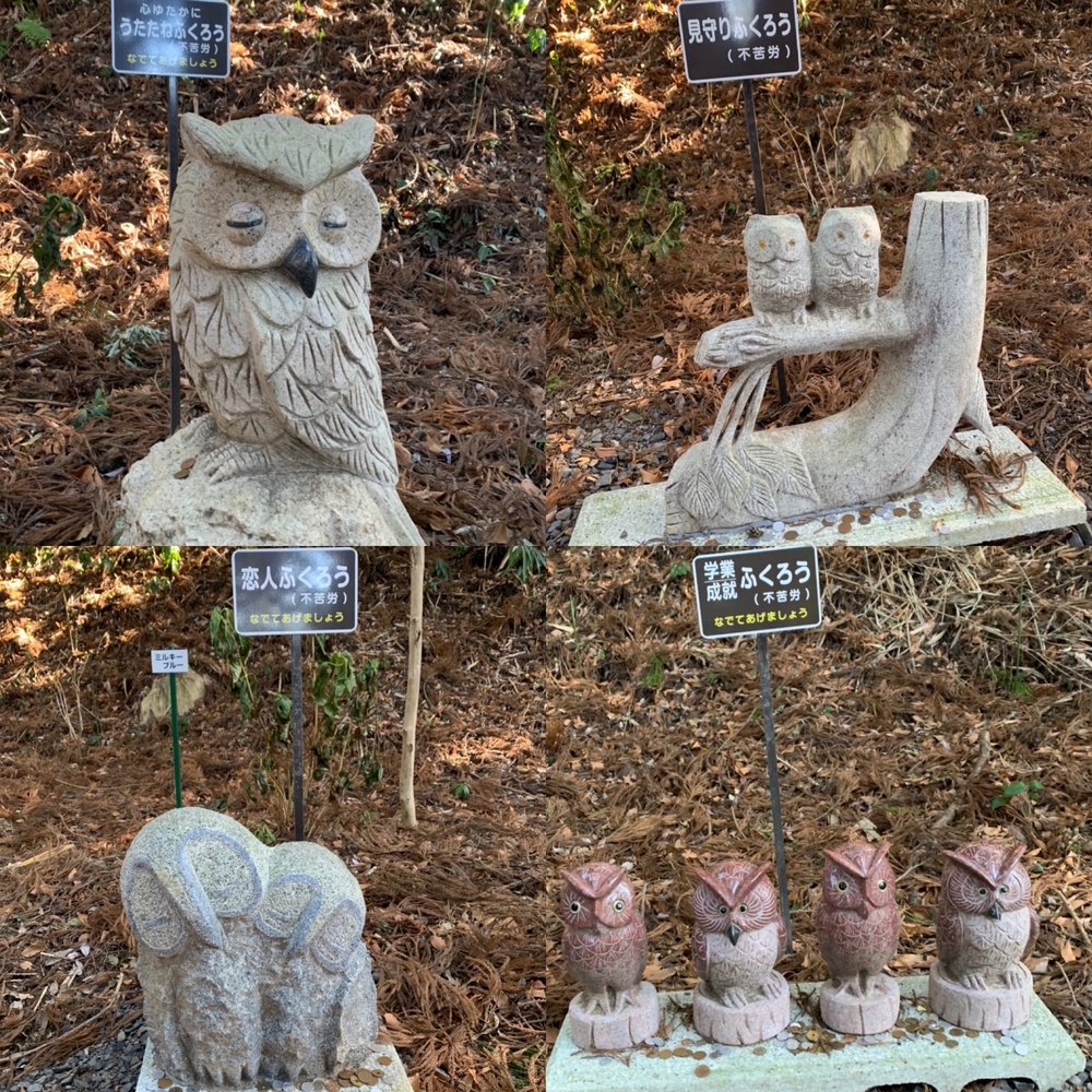 那珂川役場〜鷲子山神社まで往復の写真5