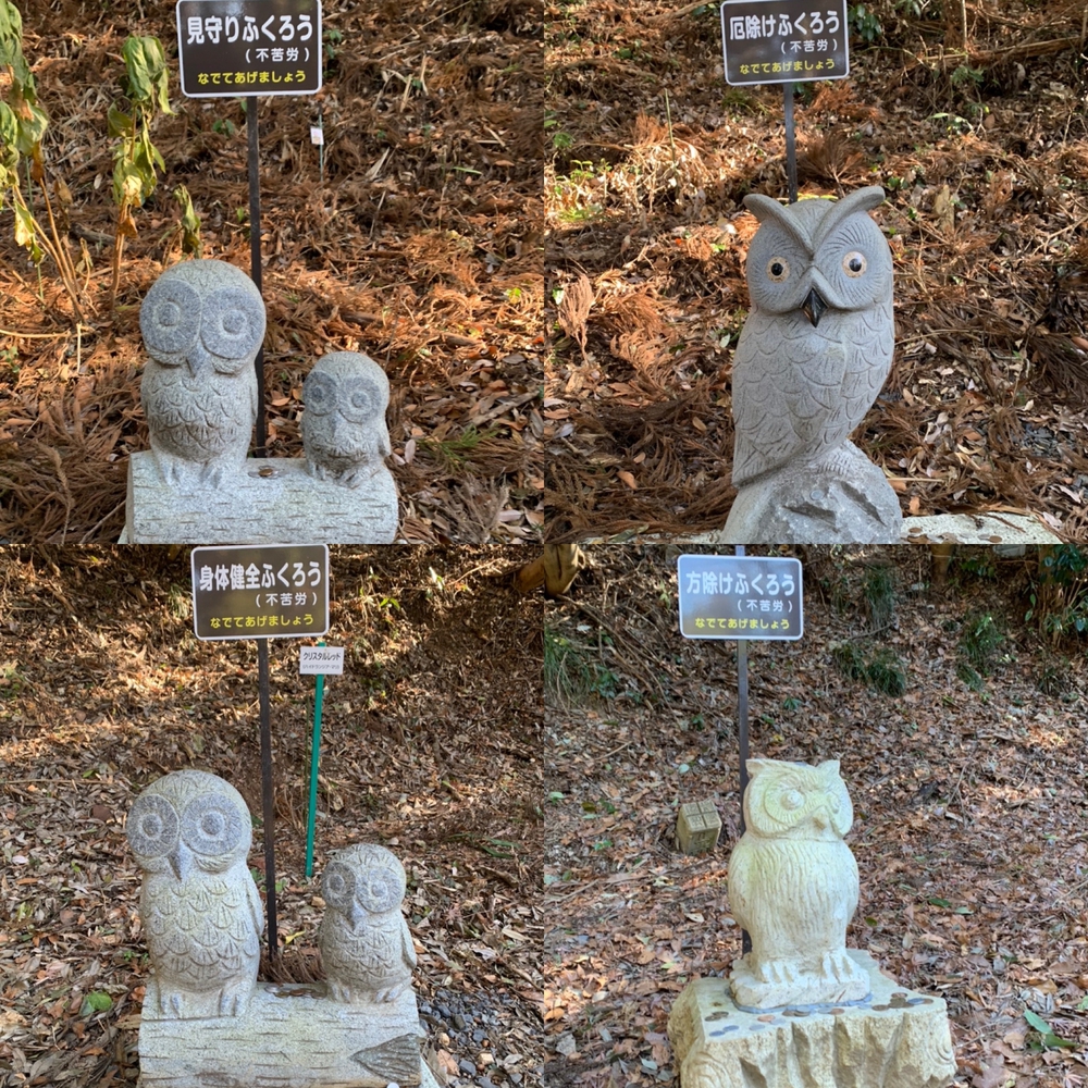 那珂川役場〜鷲子山神社まで往復の写真6