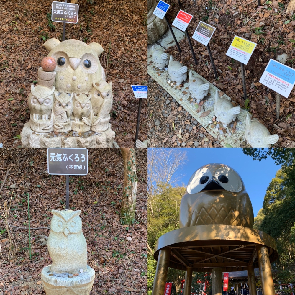 那珂川役場〜鷲子山神社まで往復の写真7