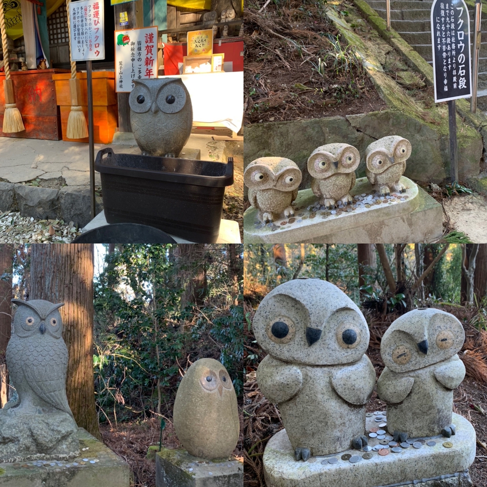 那珂川役場〜鷲子山神社まで往復の写真8