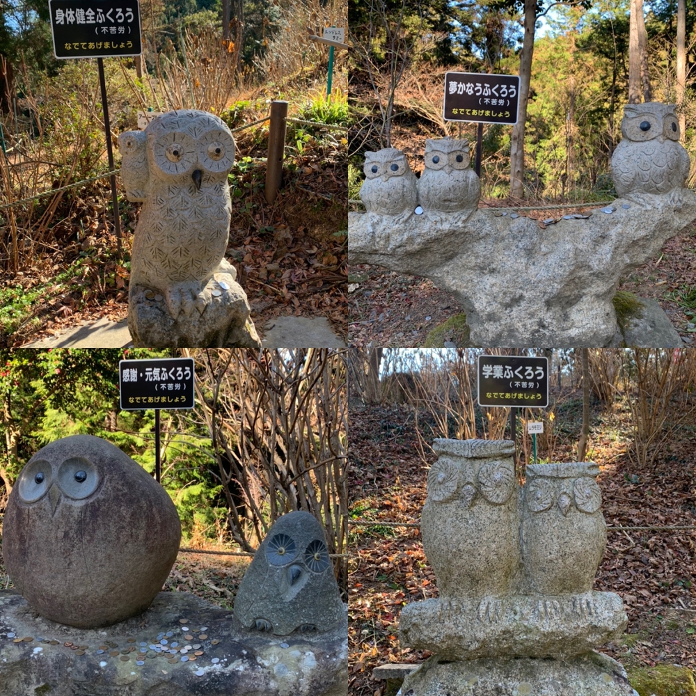 那珂川役場〜鷲子山神社まで往復の写真10