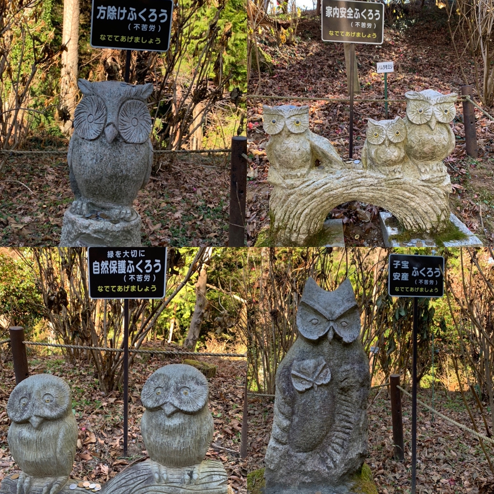 那珂川役場〜鷲子山神社まで往復の写真11