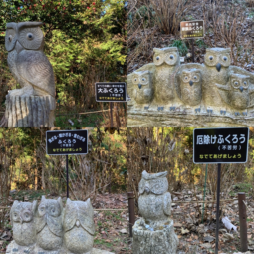 那珂川役場〜鷲子山神社まで往復の写真12
