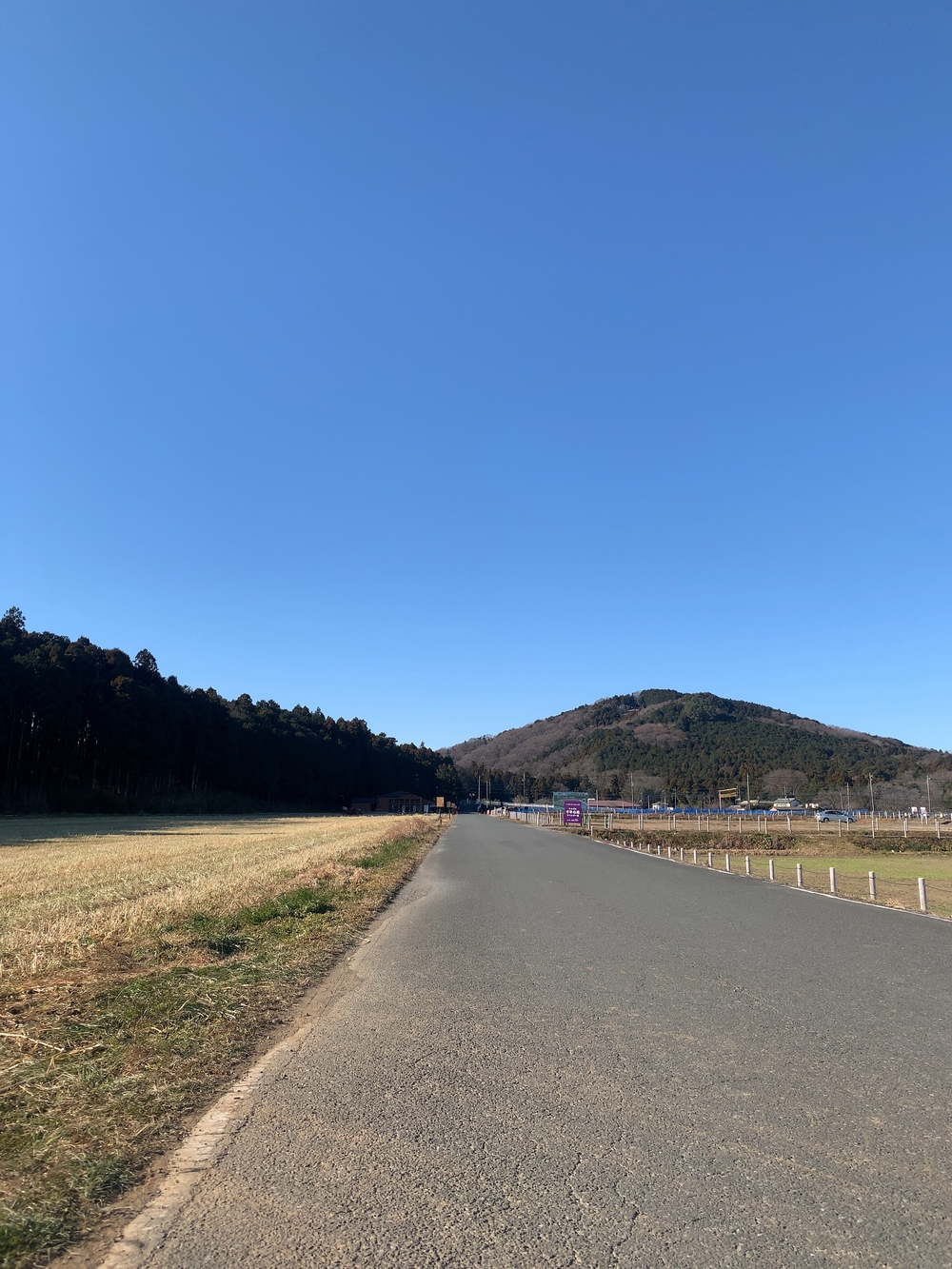 山と渓谷 山と溪谷 2024年5月号増刊「合本 全国絶景低山200」 | 山と溪谷