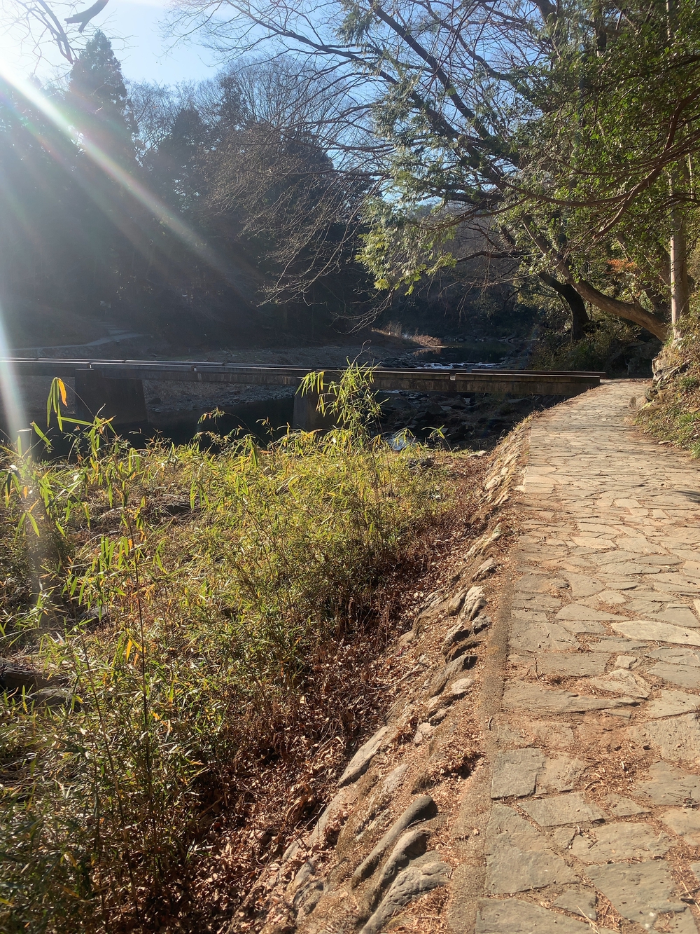 嵐山渓谷+大平山(スニーカーで行ける山)の写真8