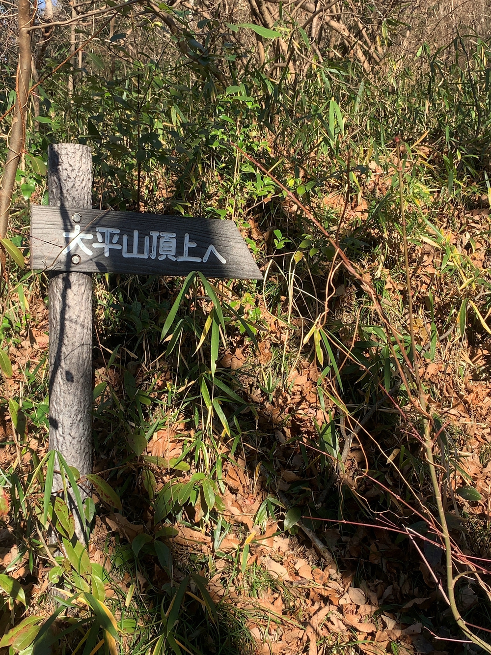 嵐山渓谷+大平山(スニーカーで行ける山)の写真10