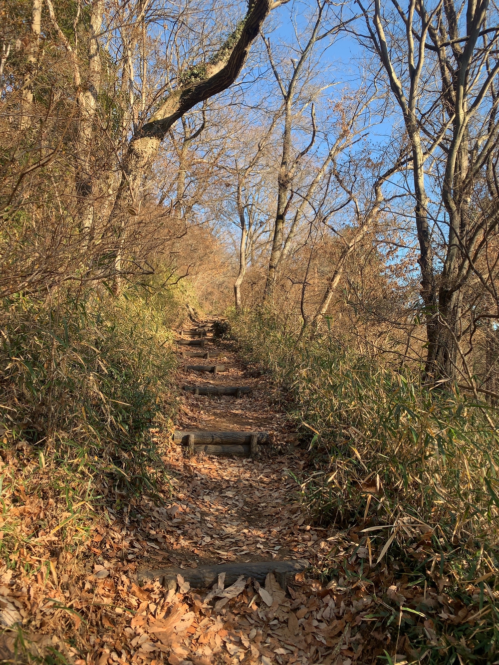 嵐山渓谷+大平山(スニーカーで行ける山)の写真11