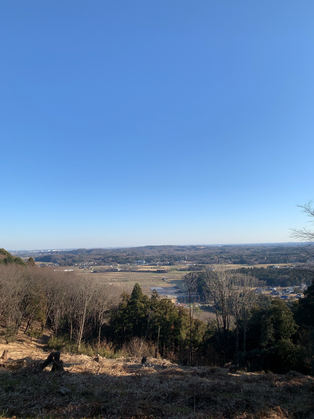 嵐山渓谷+大平山(スニーカーで行ける山)の写真12