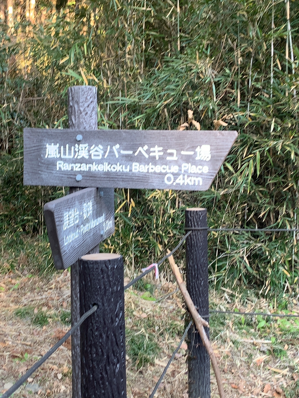 嵐山渓谷+大平山(スニーカーで行ける山)の写真13