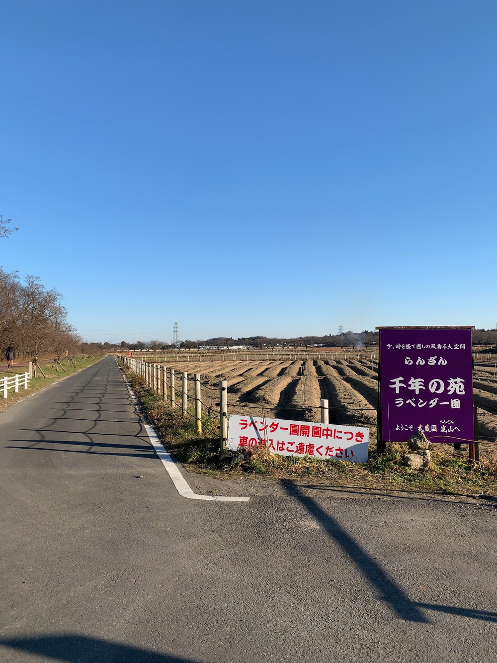 嵐山渓谷+大平山(スニーカーで行ける山)の写真16