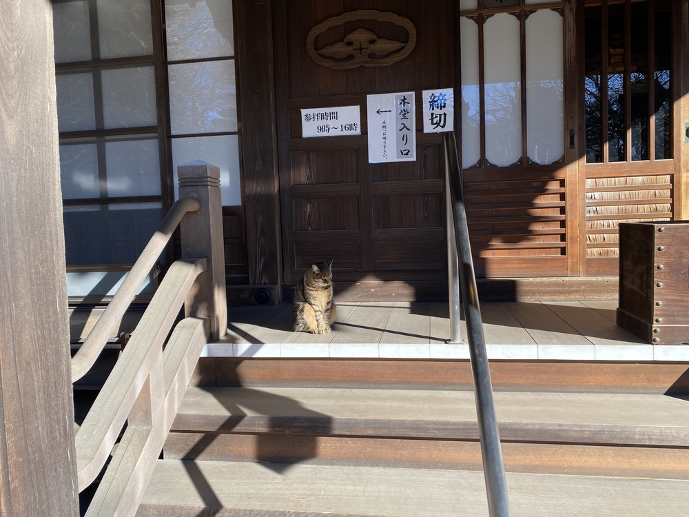 横浜七福神を巡るラン　16Kmの写真3
