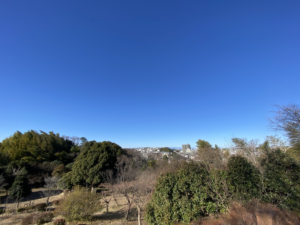 横浜七福神を巡るラン　16Kmの写真4