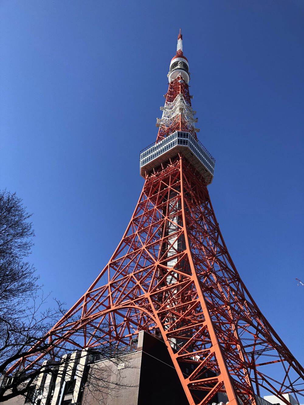 虎ノ門でトラの干支お絵かきランの写真4