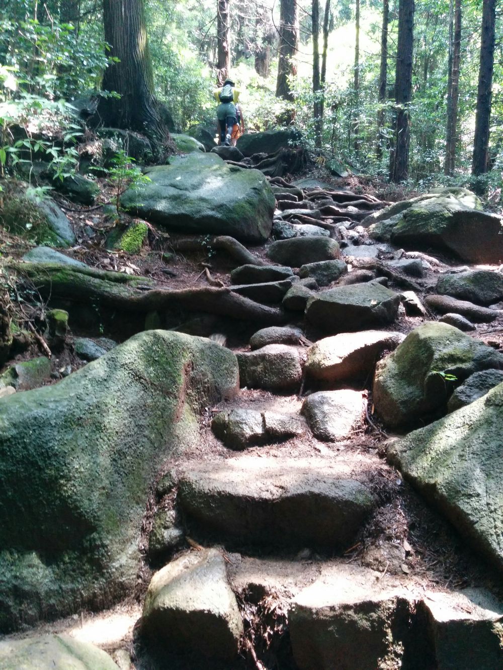 筑波山トレイル＋男体山・薬王院周回コースの写真5