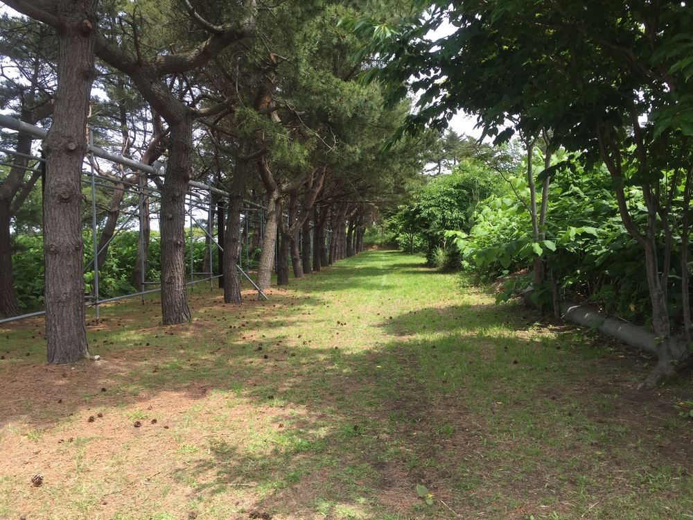 シーガルビュー鮫灯台を中心に周回して何回灯台を見れるか対決の写真3