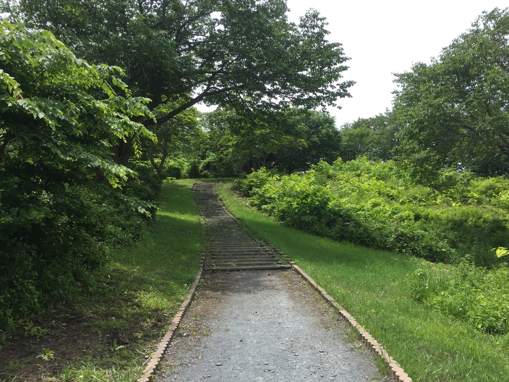 シーガルビュー鮫灯台を中心に周回して何回灯台を見れるか対決の写真4