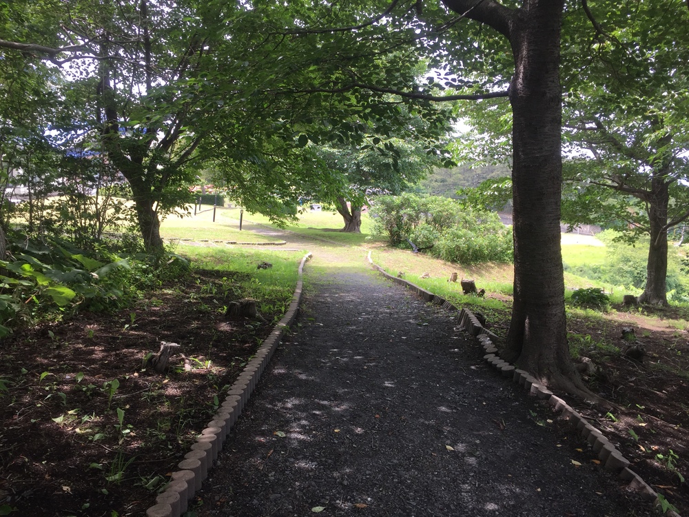 シーガルビュー鮫灯台を中心に周回して何回灯台を見れるか対決の写真5