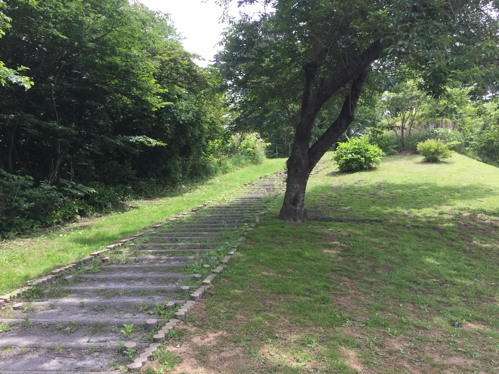 シーガルビュー鮫灯台を中心に周回して何回灯台を見れるか対決の写真7