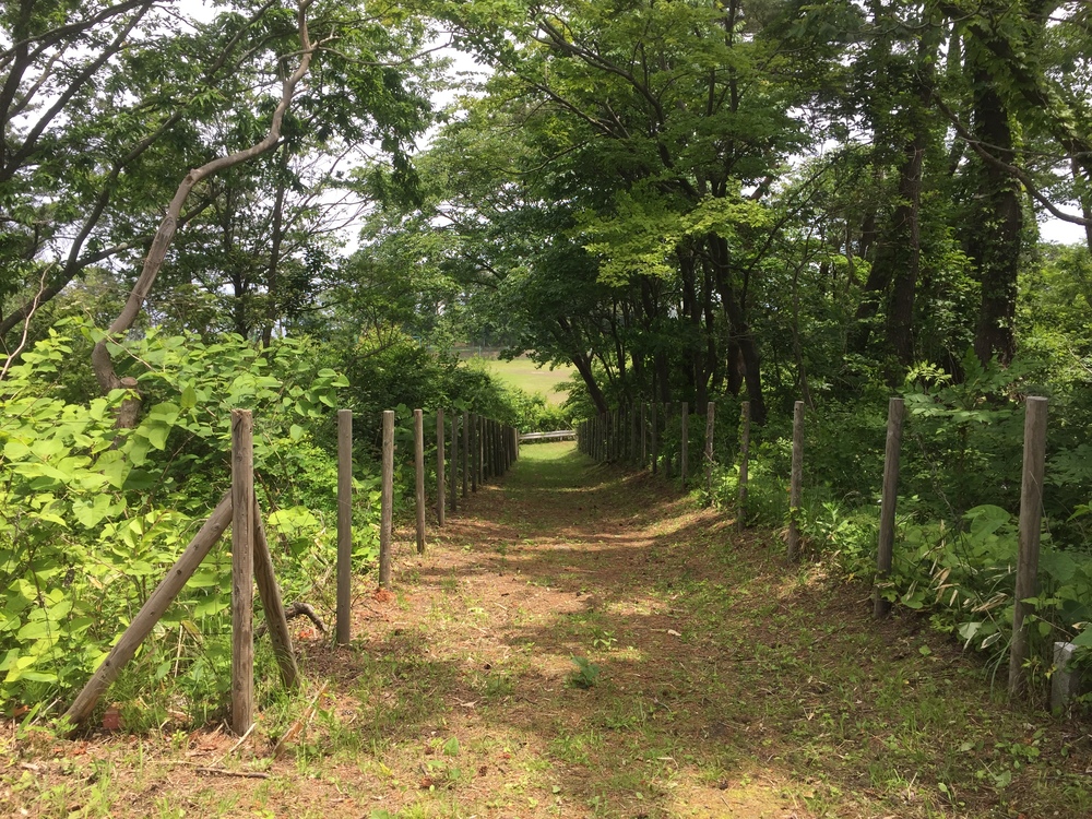 シーガルビュー鮫灯台を中心に周回して何回灯台を見れるか対決の写真8