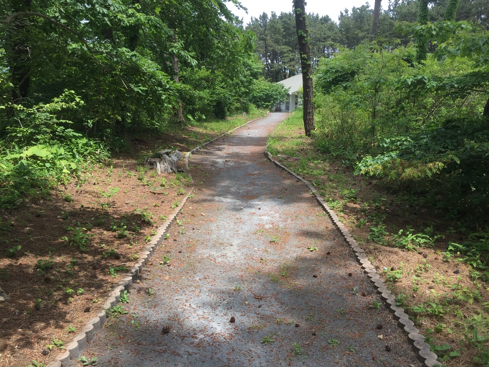 シーガルビュー鮫灯台を中心に周回して何回灯台を見れるか対決の写真10