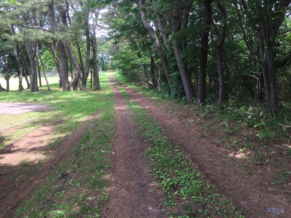 シーガルビュー鮫灯台を中心に周回して何回灯台を見れるか対決の写真11