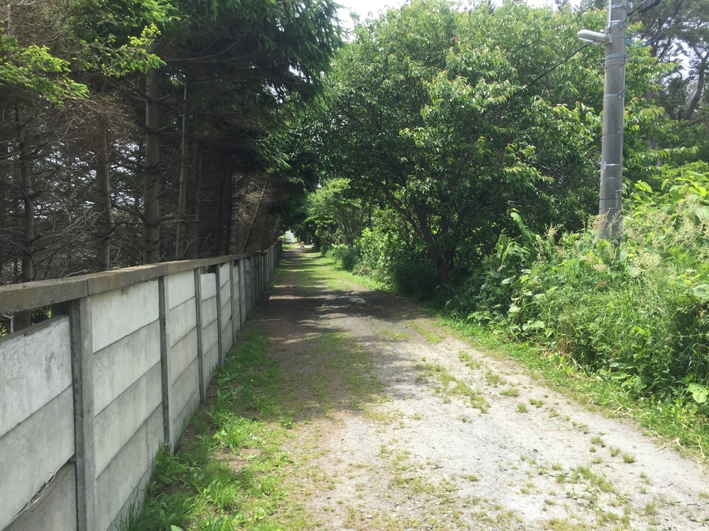 シーガルビュー鮫灯台を中心に周回して何回灯台を見れるか対決の写真13