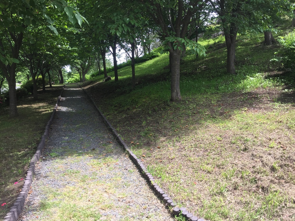 シーガルビュー鮫灯台を中心に周回して何回灯台を見れるか対決の写真15