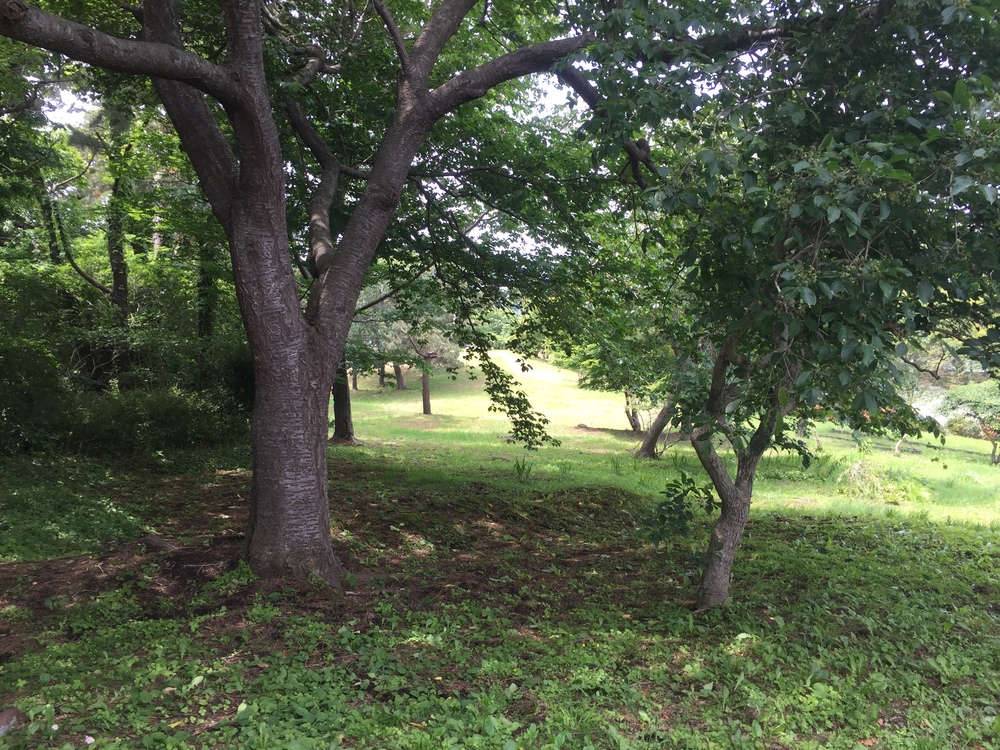 シーガルビュー鮫灯台を中心に周回して何回灯台を見れるか対決の写真21