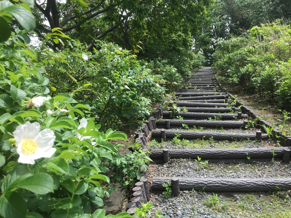 シーガルビュー鮫灯台を中心に周回して何回灯台を見れるか対決の写真23