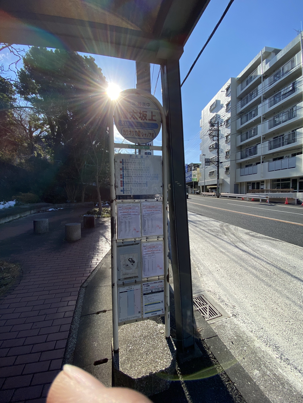 箱根駅伝　第二区 鶴見中継所〜戸塚中継所　の写真4