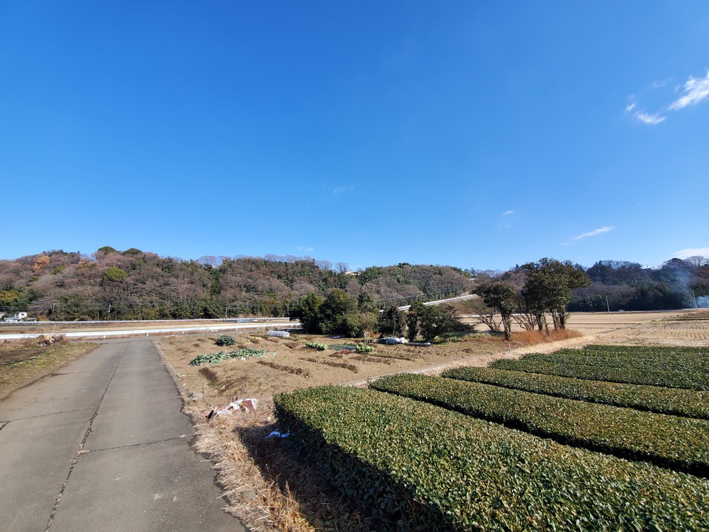 愛川町RUN🏃‍♂️🏃‍♀️💨の写真4