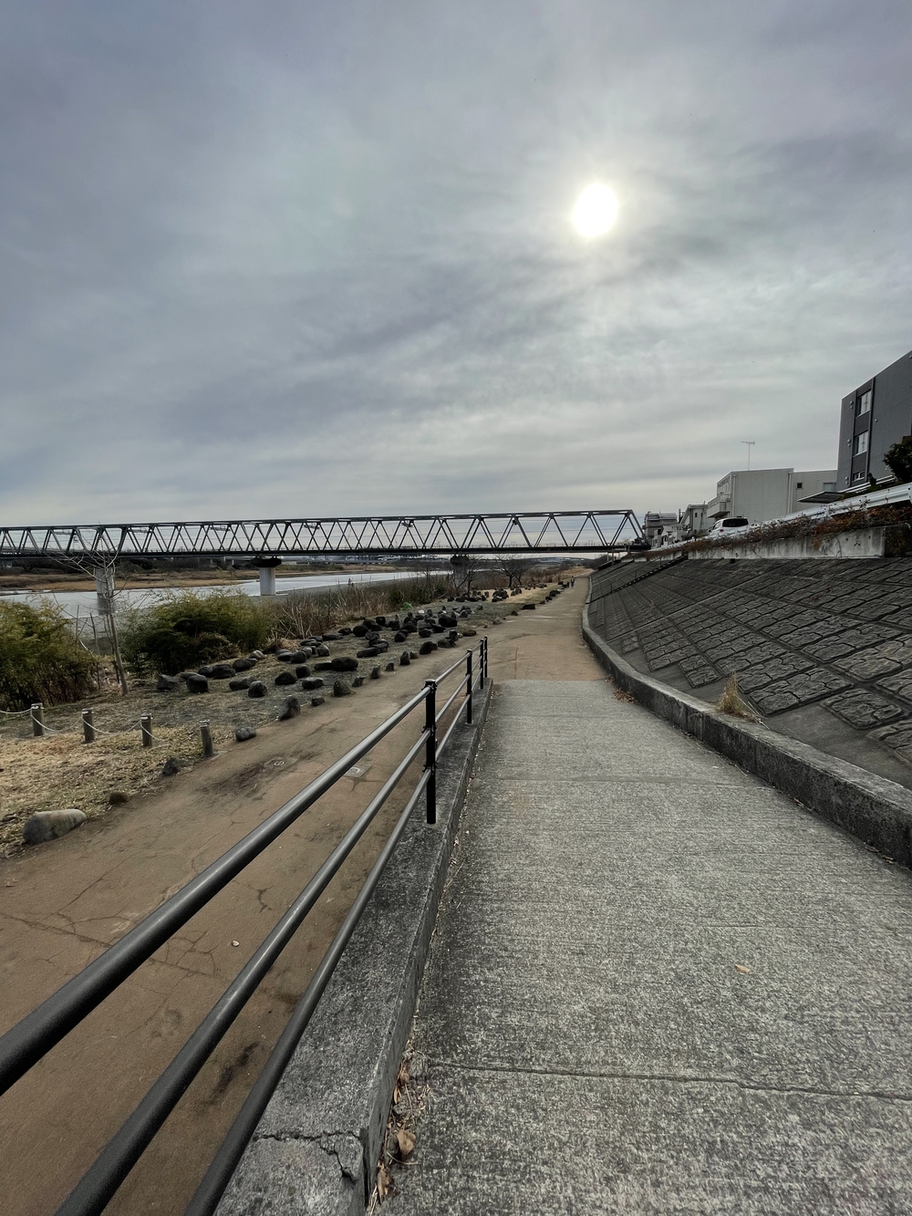 相模川河畔周回コース約7km(小田急本厚木駅・厚木駅、海老名運動公園、JR社家駅周辺)の写真3