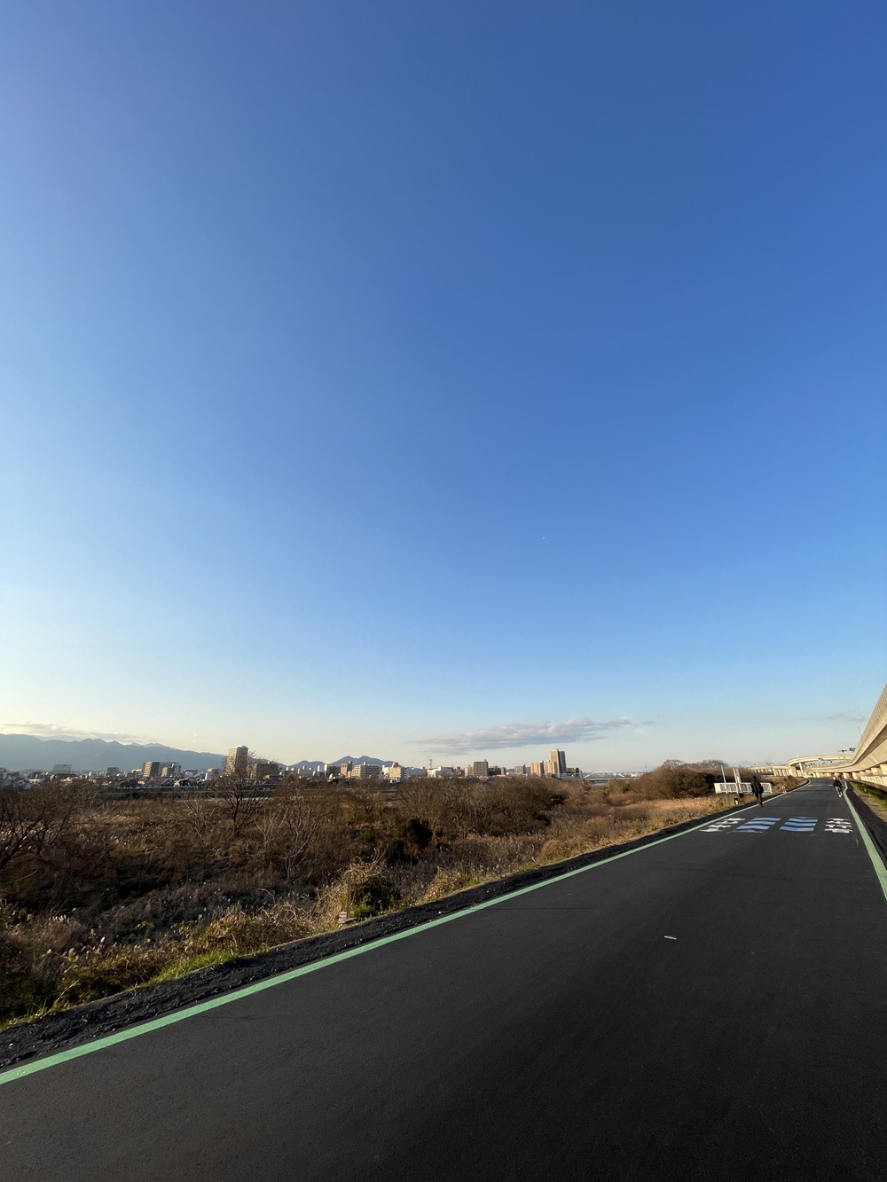 相模川河畔周回コース約7km(小田急本厚木駅・厚木駅、海老名運動公園、JR社家駅周辺)の写真8