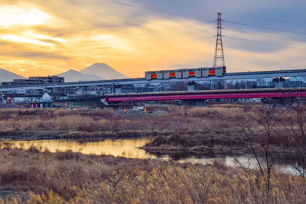 立川の見どころ詰め合わせハーフの写真5