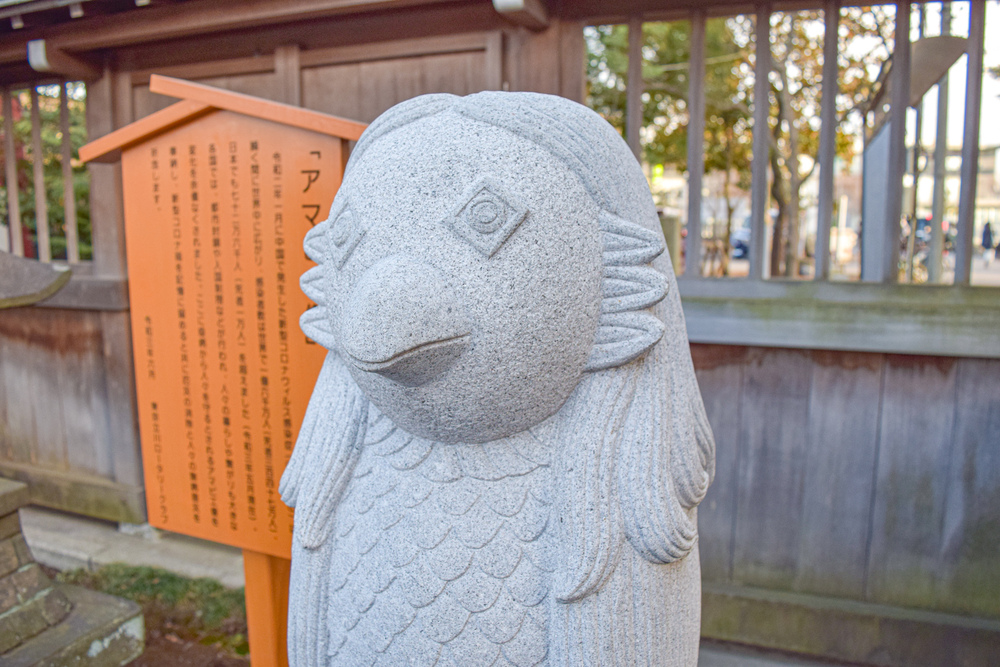 立川の見どころ詰め合わせハーフの写真10