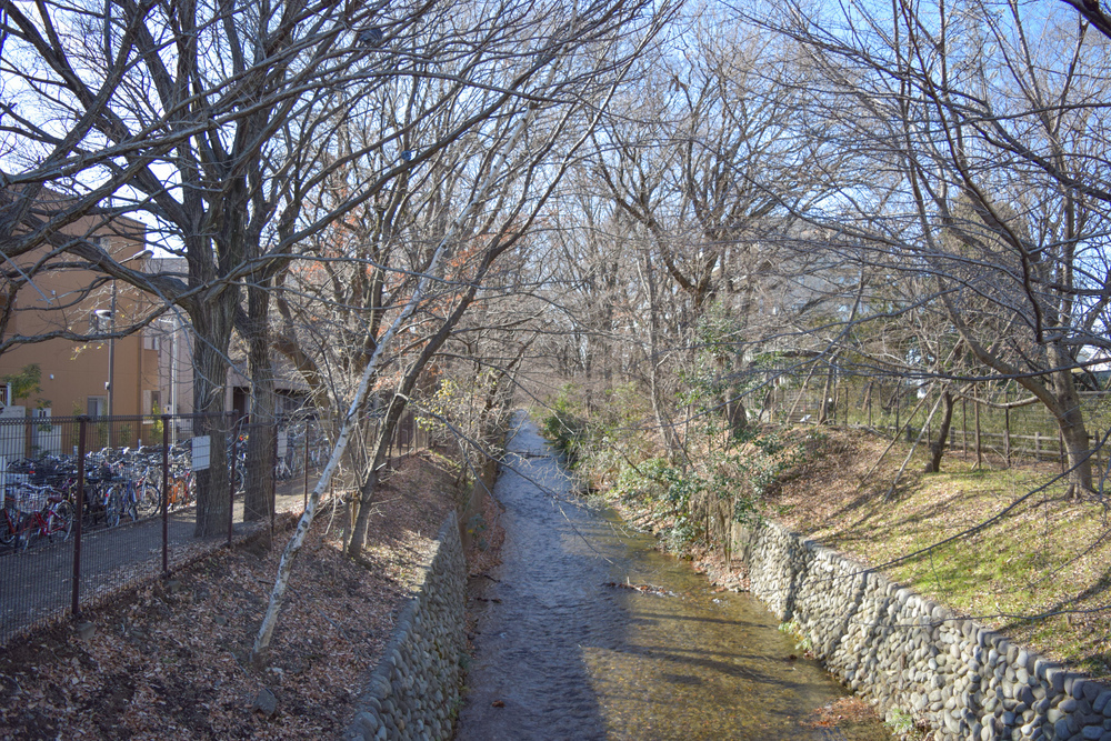 立川の見どころ詰め合わせハーフの写真19