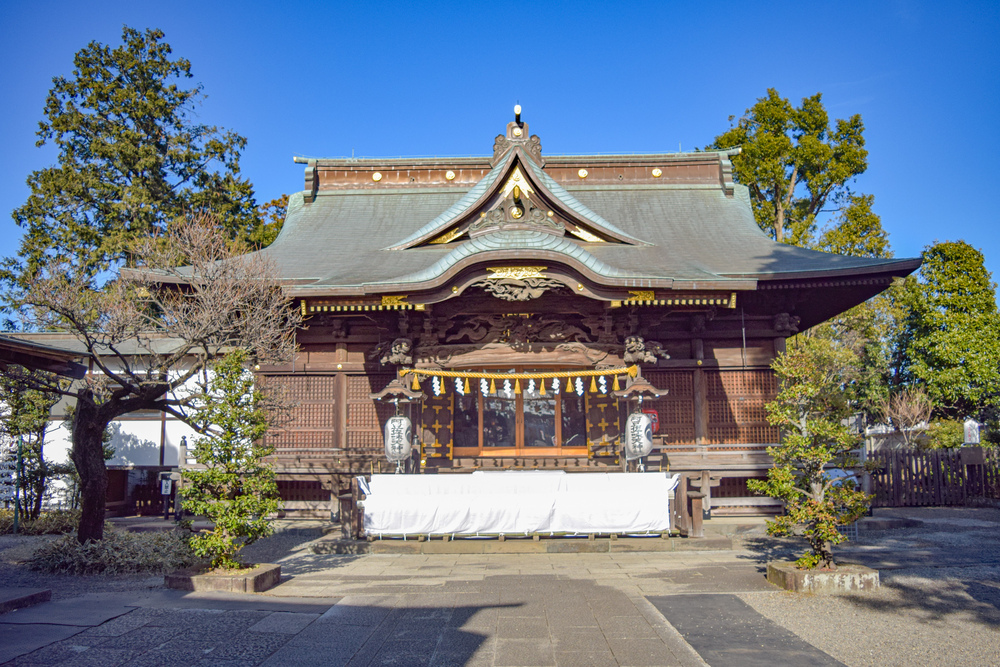 立川の見どころ詰め合わせハーフの写真20