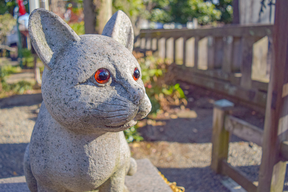 立川の見どころ詰め合わせハーフの写真21