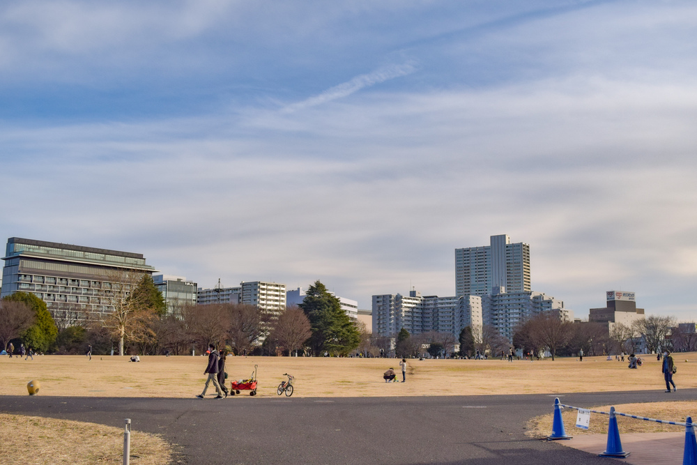 立川の見どころ詰め合わせハーフの写真25
