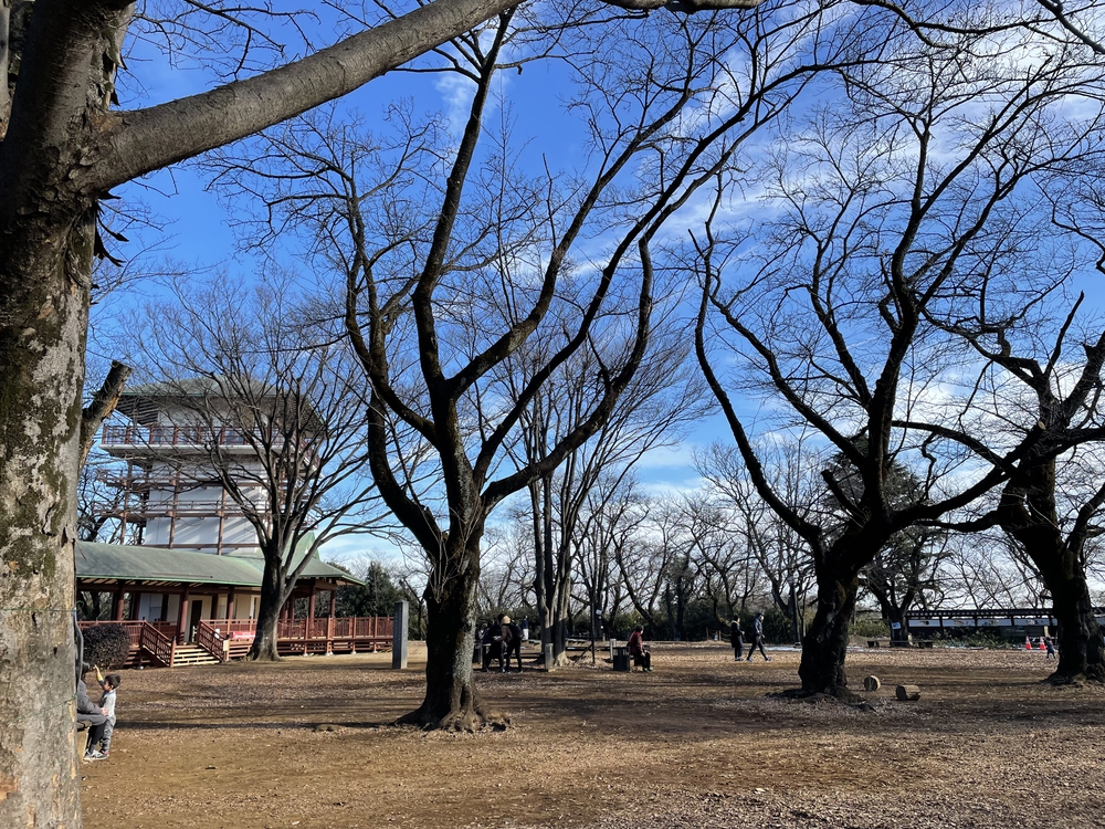 生田緑地外周の写真4
