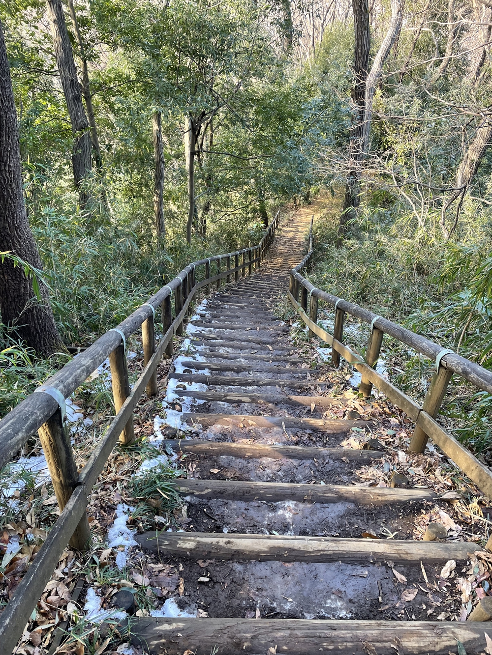生田緑地外周の写真5