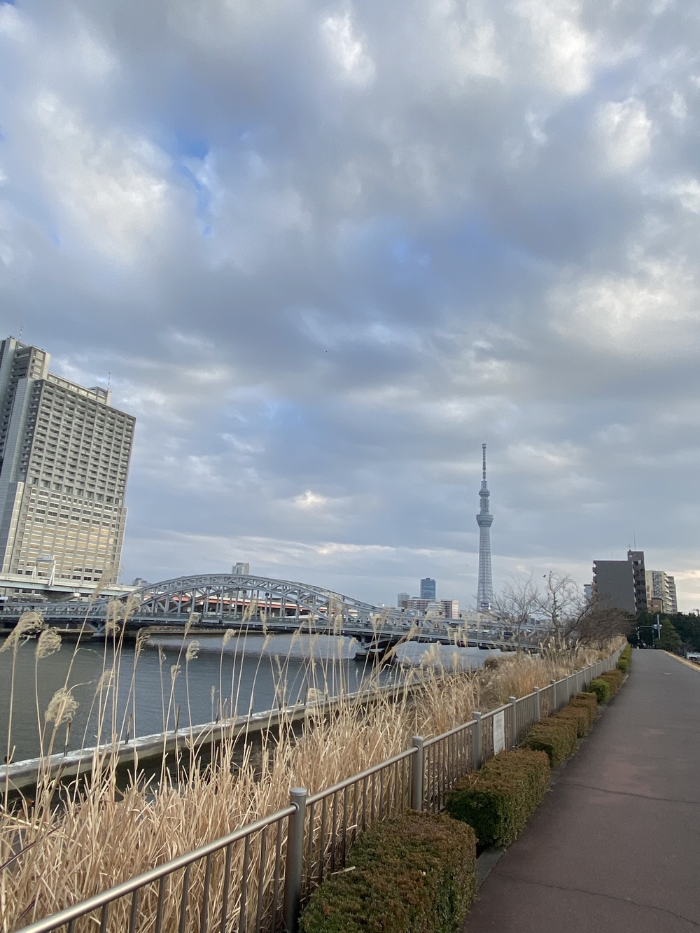 湯どんぶり栄湯に荷物を置いて隅田川ラン！の写真6